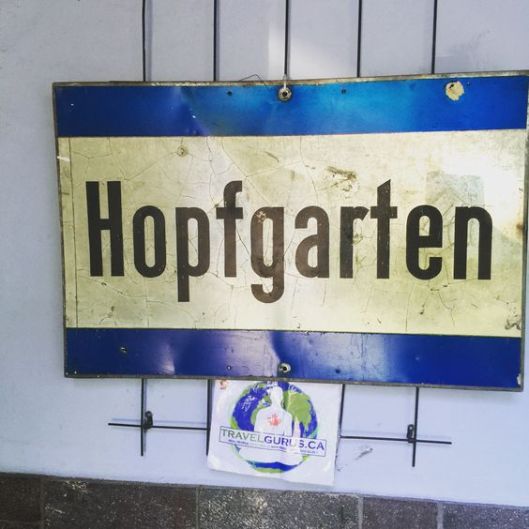 hopfgarten 4